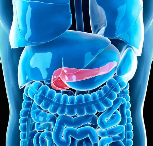 sv pancreas en azul compressed